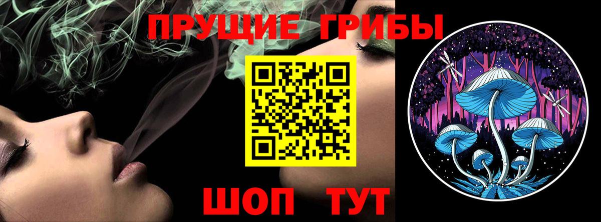 Галлюциногенные грибы прущие грибы Новошахтинск